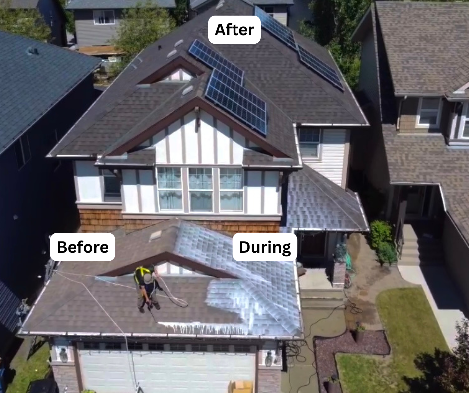 Before and after roof rejuvenation, Florida job 2