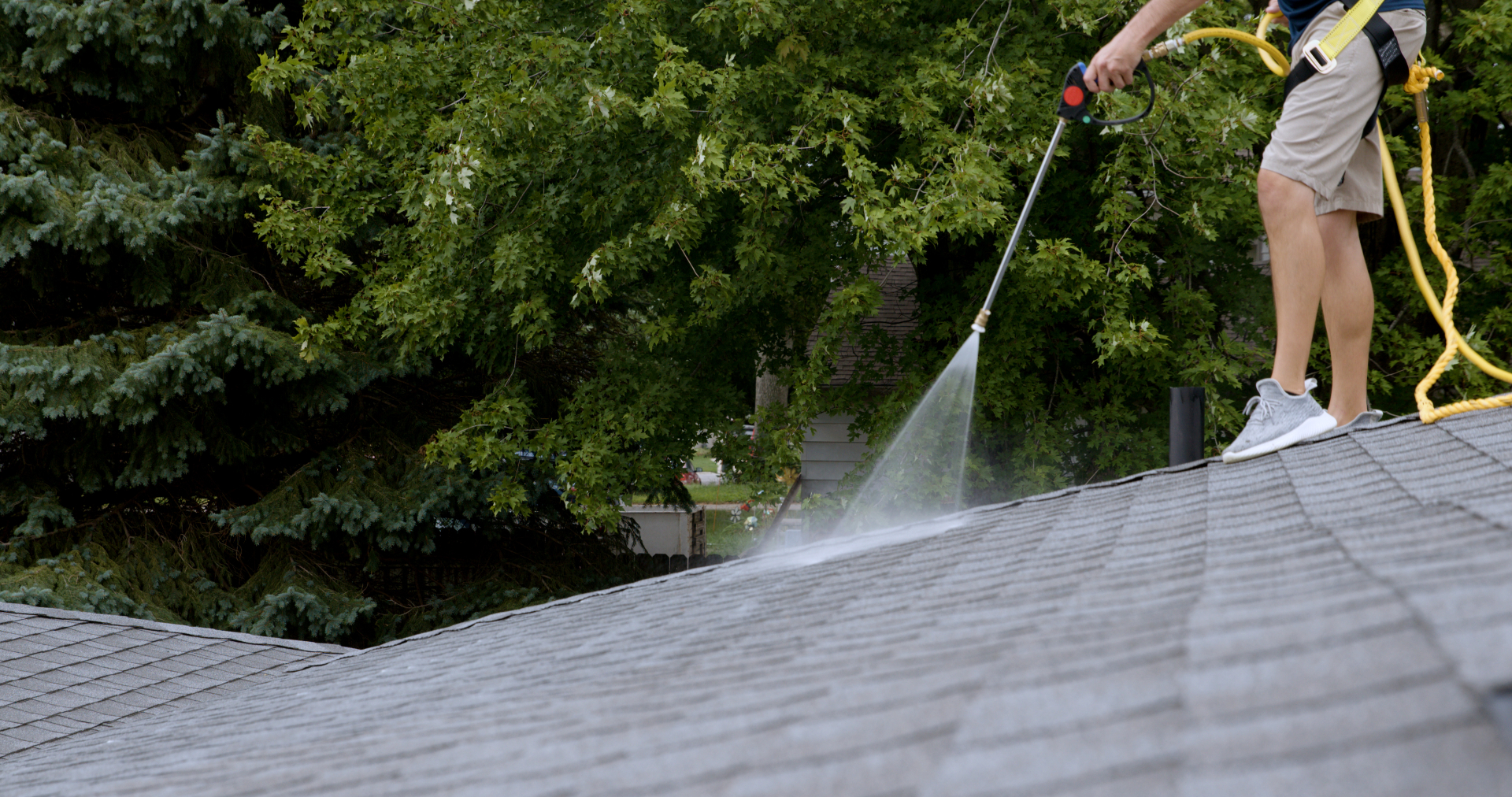 Roofing technician spraying GreenSoy treatment on shingles
